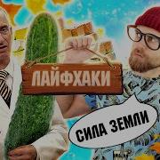 Сила Земли Живого Огурца Доктора Попова И Радость От Еды По Лайфхака