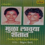 Mula Lauya Shetat Anand Shinde