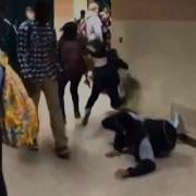 Vine Ex Public See