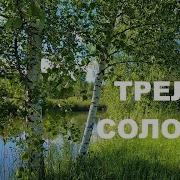 Пения Соловья