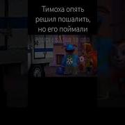 Тимоху Поймали