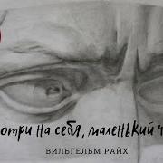 Райх Вильгельм Посмотри На Себя Маленький Человек