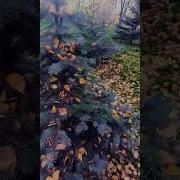 Осень Ещё Лето Не Гонит