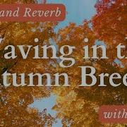 Stacey Plays Hymns Waving In The Autumn Breeze Slowed Reverb