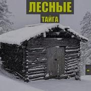 Таёжный Роман 50 Каляныч