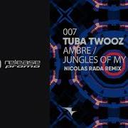 Tuba Twooz Jungles Of My Fate Nicolas Rada Remix