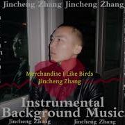 Metabolism I Like Birds Jincheng Zhang