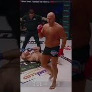 Самый Опасный Болельщик Хабиба Нурмагомедова Этот Человек Покорил