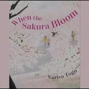 When Sakura Bloom