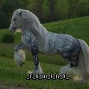 Сарэ Амэн Да Ругают