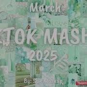 Tiktok Machup