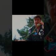 Петро Бампер И Сус 2020