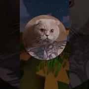 Если Ты Щастливый Котик Скажи Мяу
