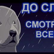 Грустные Истории До Слез