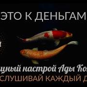 Настрой Сытина На Богатство