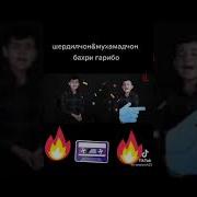 Очачонм Мембрм Да Номт