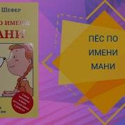 Бодо Шефер Пёс По Имени Мани