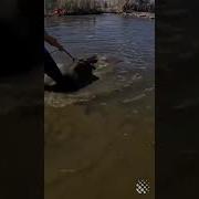 Обидеть Катю Может Каждый Не Каждый Может Убежать