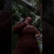 Как Же Ты Красива Амазонка