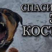 Что Же Медлишь Ты Упрямо Не Идешь