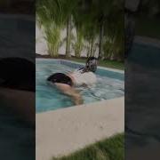 Ceiling Dance Challenge Tiktok Compilation Unbothered