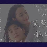 生來是鷹 電視劇 你是我的榮耀 插曲