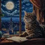 Песня Вот Она Кошачья Любовь