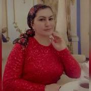 Баркалла Хьай Дог Даларна Суна