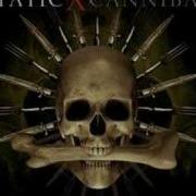 Beneath Between Beyond Static X