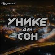 Уникедэн Сон Нурминский
