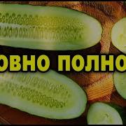 Джигит Купидон