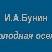 Листья Летят Опускаются Как Первый Снег Холодная Осень