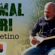 Cemal Sari Dirbetino