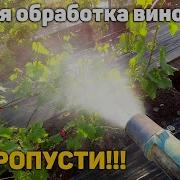 Флорас Не Делай
