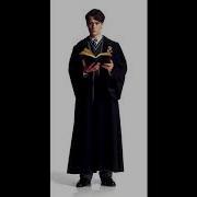 Harry Potter And The Chamber Of Secrets Tom Riddle Voice Clips Ps2 Version