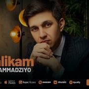 Мухаммадзиё 2024