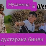 Шердил Ва Мухамад Ин Духтарака Бинед