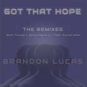 Brandon Lucas Got That Hope Seven Davis Jr Remix Feat Cornel West