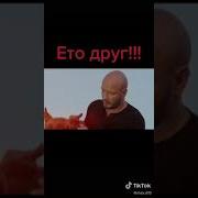 Это Не Пес Это Друг