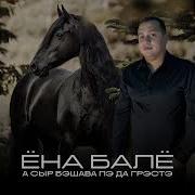 Сыр Бэшава Пэдагрэстэ