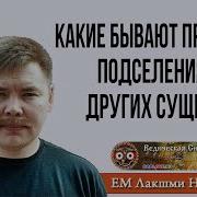 Признаки Подселения В Нас Других Сущностей