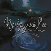 Каждому Своё Сны Саламандры