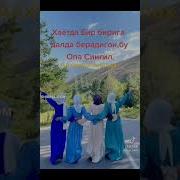 Опа Сингиллар Хакида Кушик