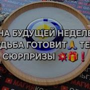 Внимание Внимание Все Зрители