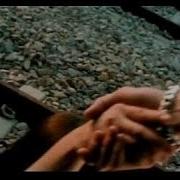 F I R 飛兒樂團 把愛放開