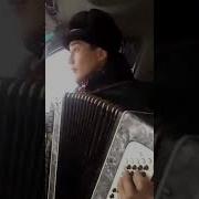 Баянист Кермолтанов Улаган Алтай