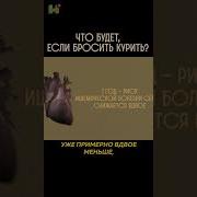 Я Курю Та Никотин