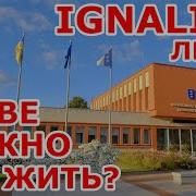 Разве Можно Так Жить