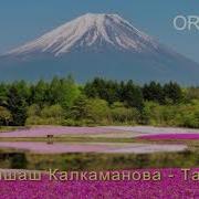 Табиғат Алтыншаш Калкаманова