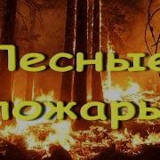 Лесные Пожары Песня